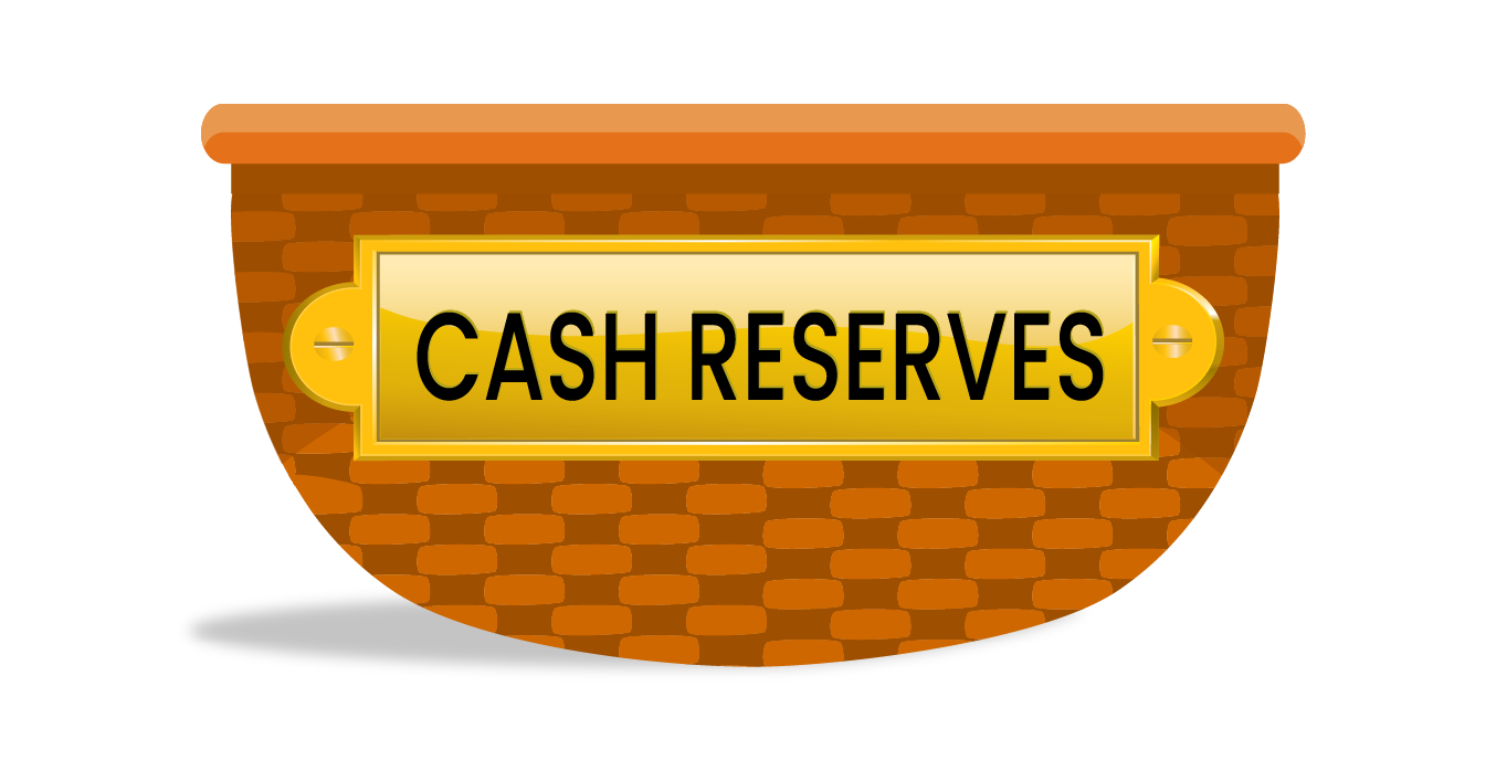 Cash reserves