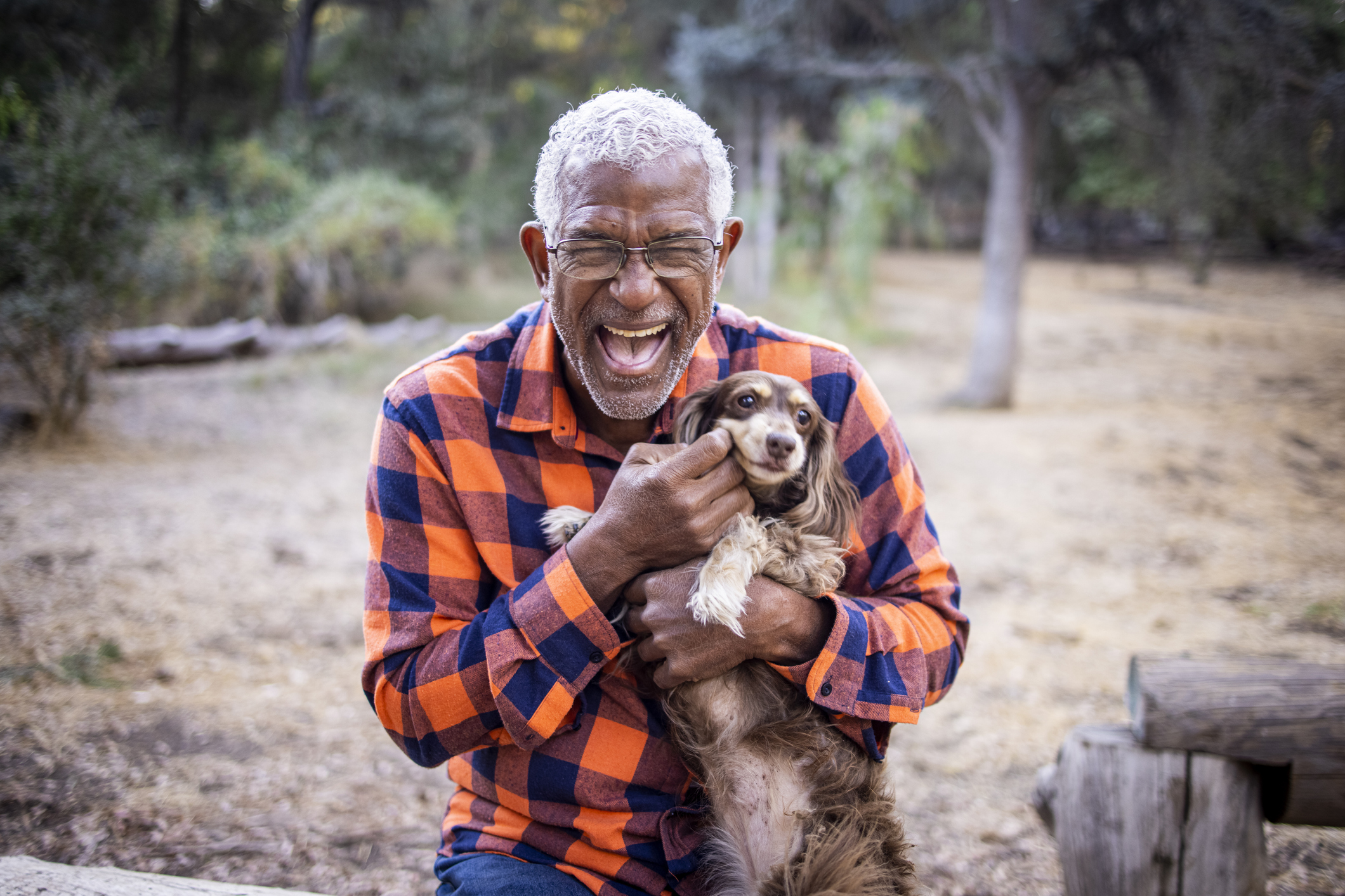 Traditional (And Unusual) Pets for Retirees Accelerated Wealth