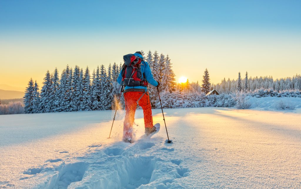 The Holidays are a Great Time to Learn to Snowshoe! Accelerated Wealth 